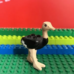 OSTRICH avestruz city	7570